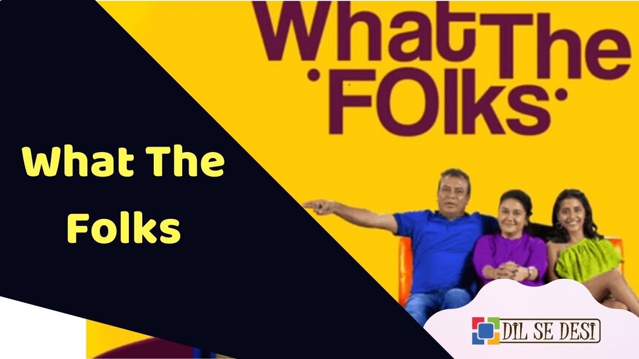 What The Folks (Season 3) Web Series Details in Hindi