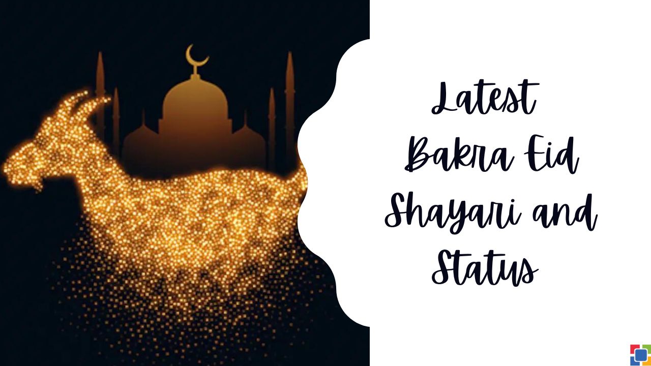 Latest Bakra Eid Shayari and Status Hindi
